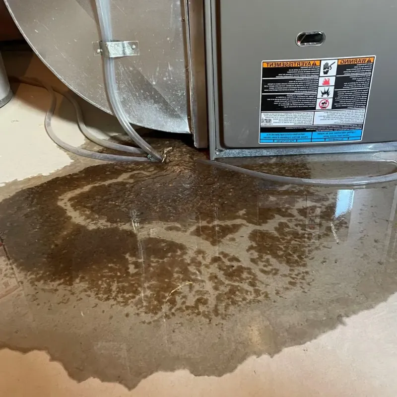 Pipe Burst and Leak Restoration in Pine Ridge, PA