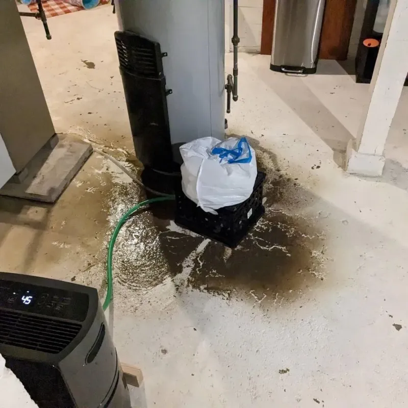 Sewage Backup Cleanup Service in Pine Ridge, PA